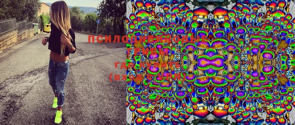 mix Лабытнанги