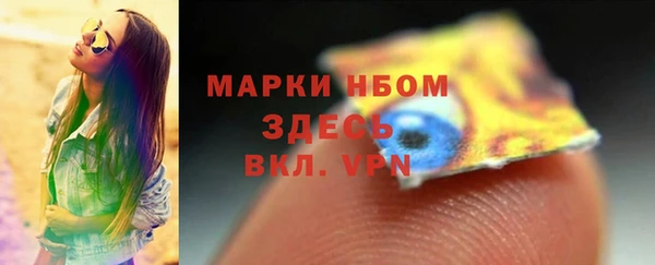 стафф Ладушкин