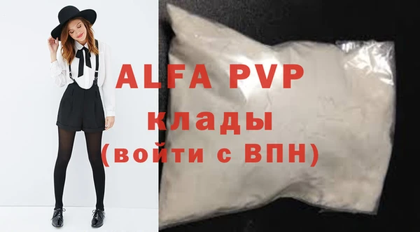 стафф Ладушкин
