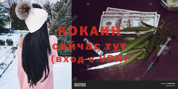 стафф Ладушкин