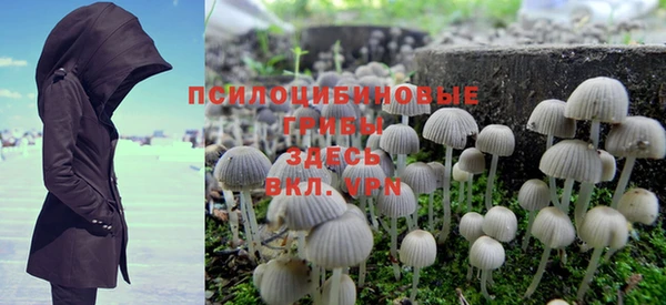 mix Лабытнанги