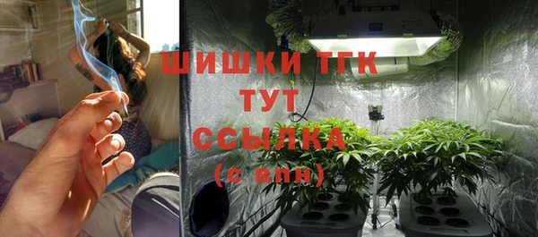 стафф Ладушкин